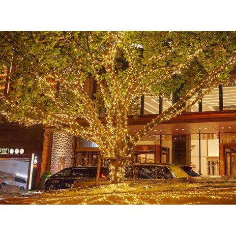 Zewnętrzne/wewnętrzne lampki choinkowe ryż 1000 LED 29,6m, barwa ciepłe białe LAMP69